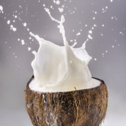 coconut milk